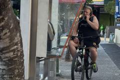 作者：秋日红树